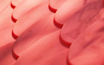 Cold Kirby plastic roof costs