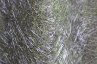 Cold Kirby fibreglass roof work